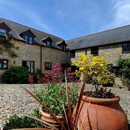 Rose Cottage Musbury Esterno foto